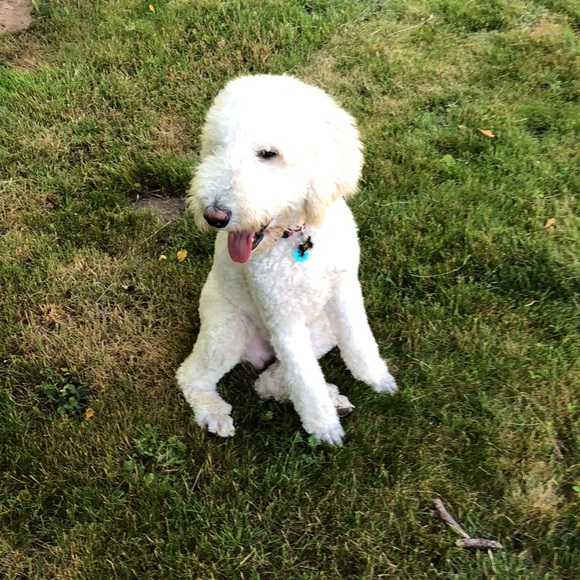 Help  my Mom pay for my broken leg! - Picture 13 of 13